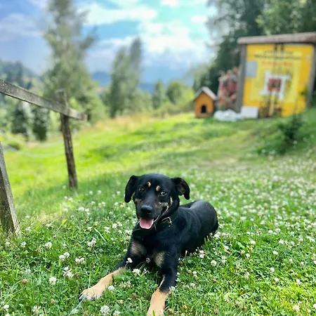 Apartment Guziczek2 *