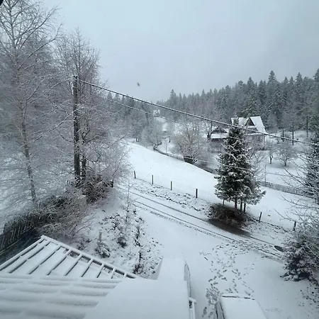 Apartment Guziczek2 *