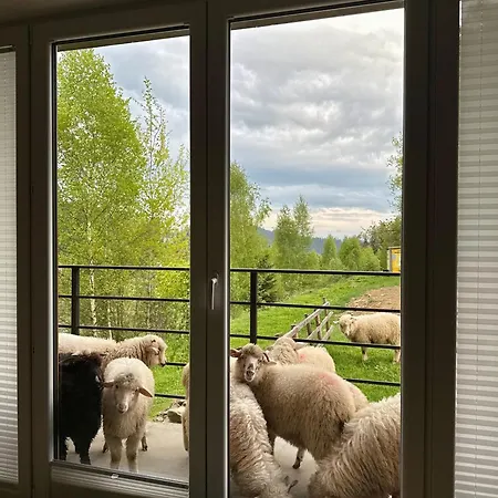 Apartment Guziczek2 Neumarkt