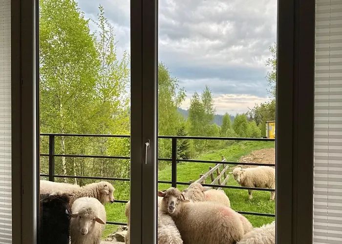 Apartment Guziczek2 Nowy Targ